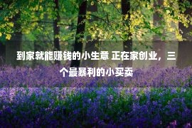 到家就能赚钱的小生意 正在家创业，三个最暴利的小买卖