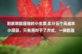 到家就能赚钱的小生意 瓜分五个高成本小项目，只有用对于了方式，一律能赢利！