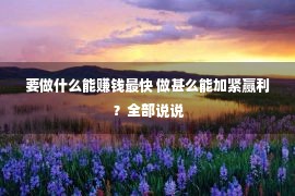 要做什么能赚钱最快 做甚么能加紧赢利？全部说说