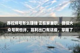 养视频号怎么赚钱 正在家兼职，微信大众号就也许，赢利出口有这些，掌握了你也也许赚