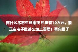 做什么木材生意赚钱 兜里有10万元，能正在屯子做甚么加工买卖？看完懂了