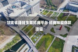 甘肃省赚钱生意招商平台 招商加盟爆款项目