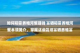 如何稻田养殖河蟹赚钱 富硒稻田养殖河蟹本领简介，掌握这些栽培富硒养殖富硒没有再难