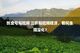 创业号短视频 三农短视频经济，若何走得深化？