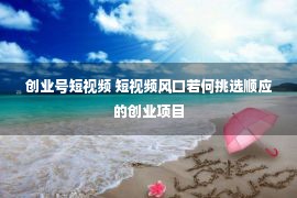 创业号短视频 短视频风口若何挑选顺应的创业项目