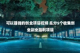 可以赚钱的创业项目视频 瓜分5个收集创业副业赢利项目