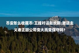 币安怎么收藏币:王峰对话赵长鹏:激进主义者正因公司变大而变保守吗?