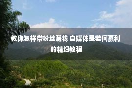 教你怎样带粉丝赚钱 自媒体是若何赢利的精细教程