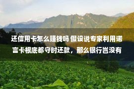 还信用卡怎么赚钱吗 假设说专家利用诺言卡根底都守时还款，那么银行岂没有是无钱可赚？