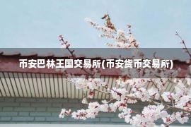 币安巴林王国交易所(币安货币交易所)