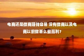 电商还是微商赚钱容易 没有微商以及电商以前做甚么最赢利？