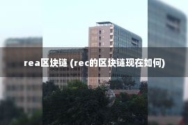 rea区块链 (rec的区块链现在如何)