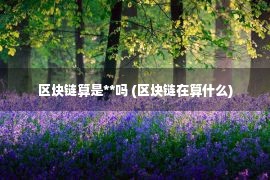 区块链算是**吗 (区块链在算什么)