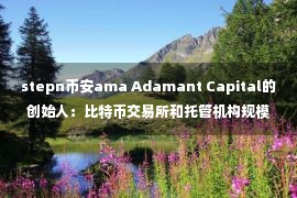 stepn币安ama Adamant Capital的创始人：比特币交易所和托管机构规模太大，没有将风险社会化