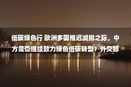 低碳绿色行 欧洲多国推迟减排之际，中方是否继续致力绿色低碳转型？外交部回应