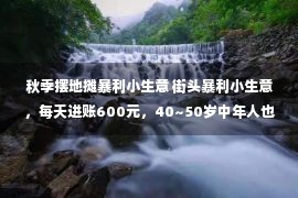 秋季摆地摊暴利小生意 街头暴利小生意，每天进账600元，40~50岁中年人也可以干