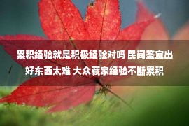 累积经验就是积极经验对吗 民间鉴宝出好东西太难 大众藏家经验不断累积