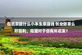 在北京做什么小本生意赚钱 创业做甚么好赢利，指望对于你有所启发？