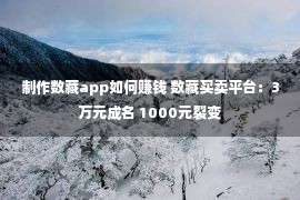 制作数藏app如何赚钱 数藏买卖平台：3万元成名 1000元裂变