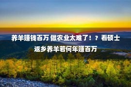 养羊赚钱百万 做农业太难了！？看硕士返乡养羊若何年赚百万