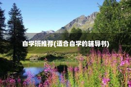 自学班推荐(适合自学的辅导书)