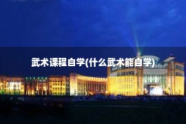 武术课程自学(什么武术能自学)