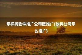 怎样找软件推广公司做推广(软件公司怎么推广)