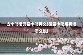 去小吃街品尝小吃英文(品尝小吃用英语怎么说)