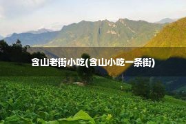 含山老街小吃(含山小吃一条街)