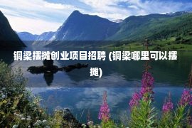 铜梁摆摊创业项目招聘 (铜梁哪里可以摆摊)