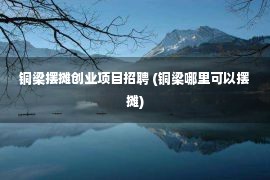 铜梁摆摊创业项目招聘 (铜梁哪里可以摆摊)