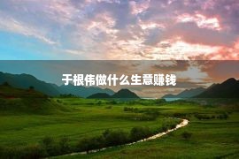 于根伟做什么生意赚钱 