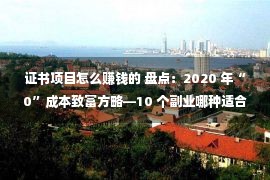 证书项目怎么赚钱的 盘点：2020 年“0”成本致富方略—10 个副业哪种适合你？