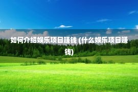 如何介绍娱乐项目赚钱 (什么娱乐项目赚钱)