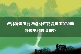 迪拜跨境电商运输 环世物流推出全链路跨境电商物流服务