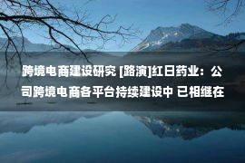 跨境电商建设研究 [路演]红日药业：公司跨境电商各平台持续建设中 已相继在印度开通新账号、美国独立站进入试销阶段