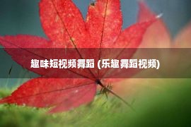 趣味短视频舞蹈 (乐趣舞蹈视频)