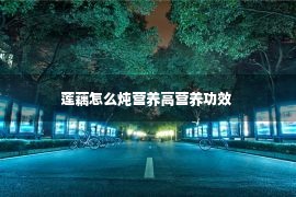 莲藕怎么炖营养高营养功效 