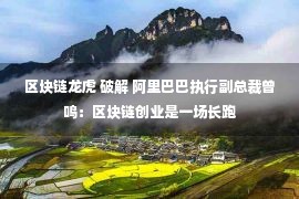 区块链龙虎 破解 阿里巴巴执行副总裁曾鸣：区块链创业是一场长跑