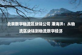 北京数字物流区块链公司 潘海洪：从物流区块链到物流数字经济