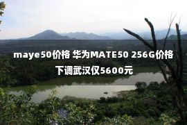 maye50价格 华为MATE50 256G价格下调武汉仅5600元