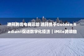 迪拜跨境电商运输 迪拜携手Golden Radiant促进数字化经济｜iMile跨境物流分享