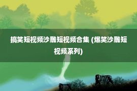 搞笑短视频沙雕短视频合集 (爆笑沙雕短视频系列)