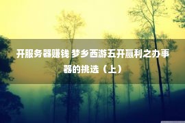 开服务器赚钱 梦乡西游五开赢利之办事器的挑选（上）