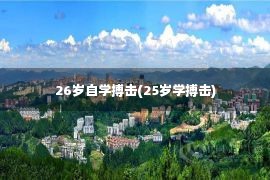 26岁自学搏击(25岁学搏击)