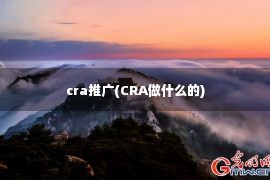 cra推广(CRA做什么的)