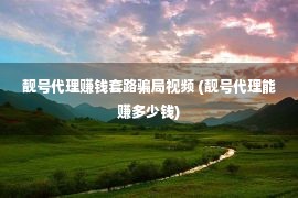 靓号代理赚钱套路骗局视频 (靓号代理能赚多少钱)