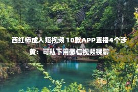 西红柿成人短视频 10款APP直播4个涉黄：可私下用微信视频裸聊