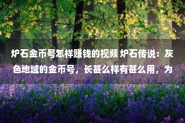 炉石金币号怎样赚钱的视频 炉石传说：灰色地域的金币号，长甚么样有甚么用，为啥还没有取缔？