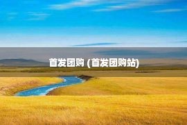 首发团购 (首发团购站)